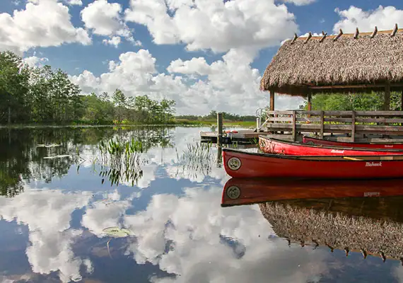 Grassy Waters Preserve Graphic