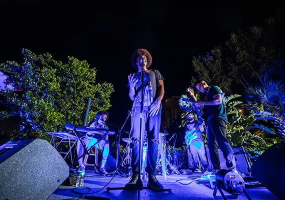 Norton Museum Art After Dark Graphic