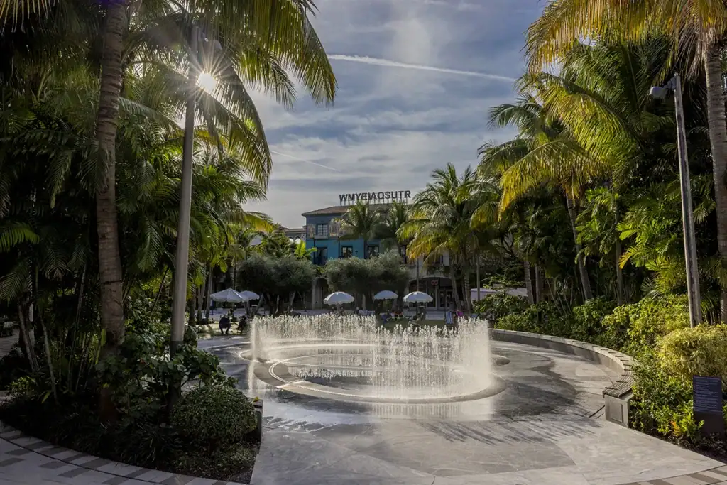 Fountain surrounded by palm trees in a sunny outdoor setting.